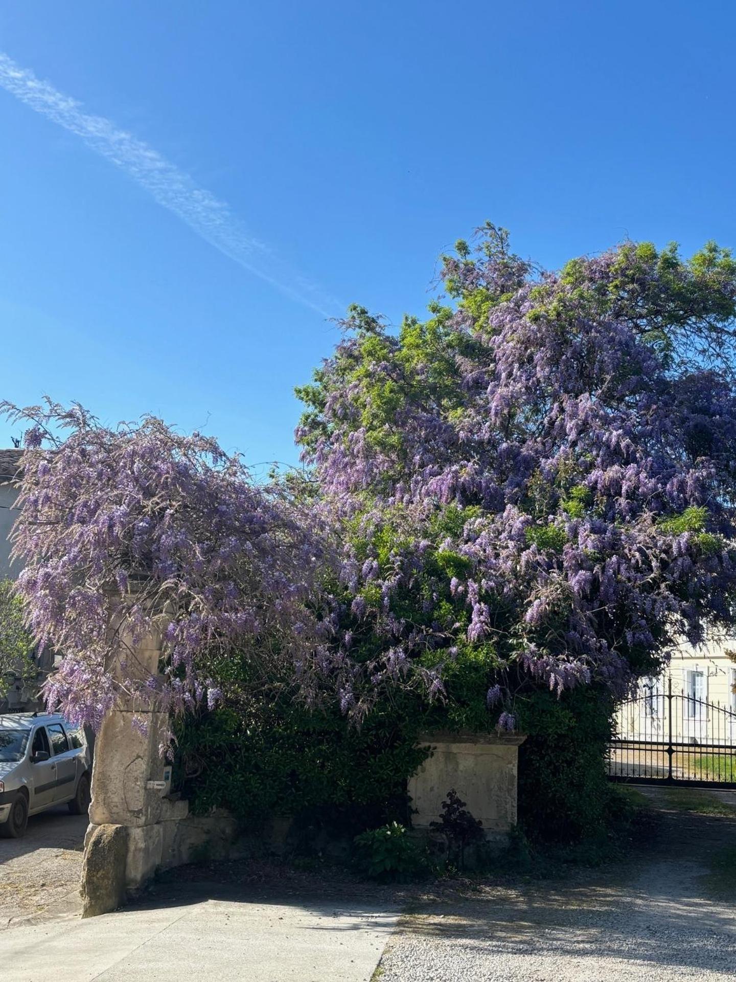 Le Grenier Occitan